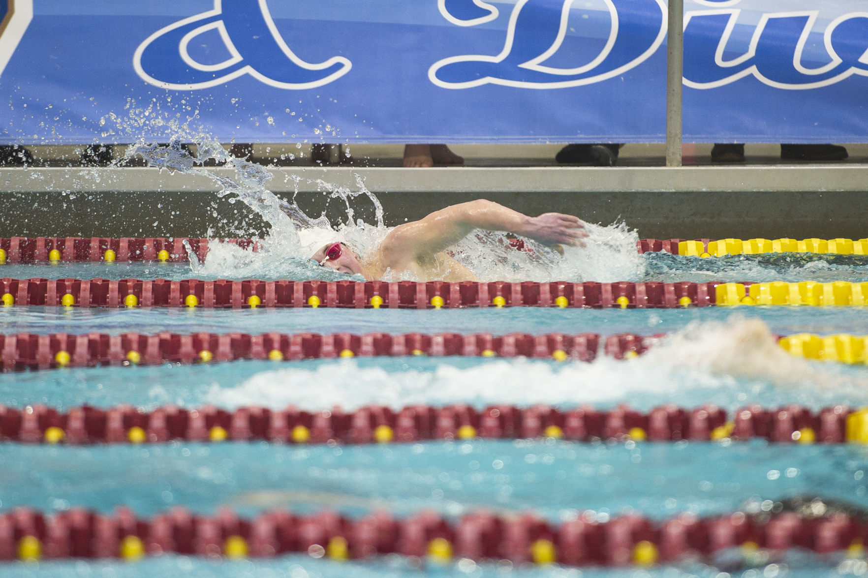 Swimming Finals 13
